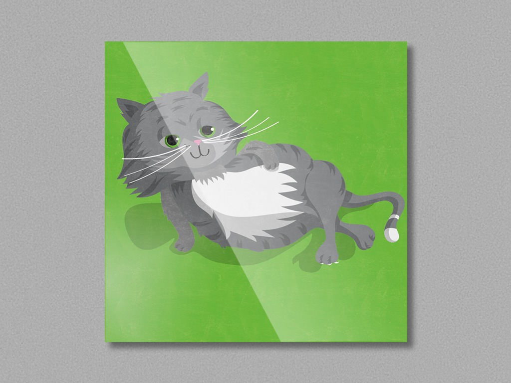 Magnet "Kater"
