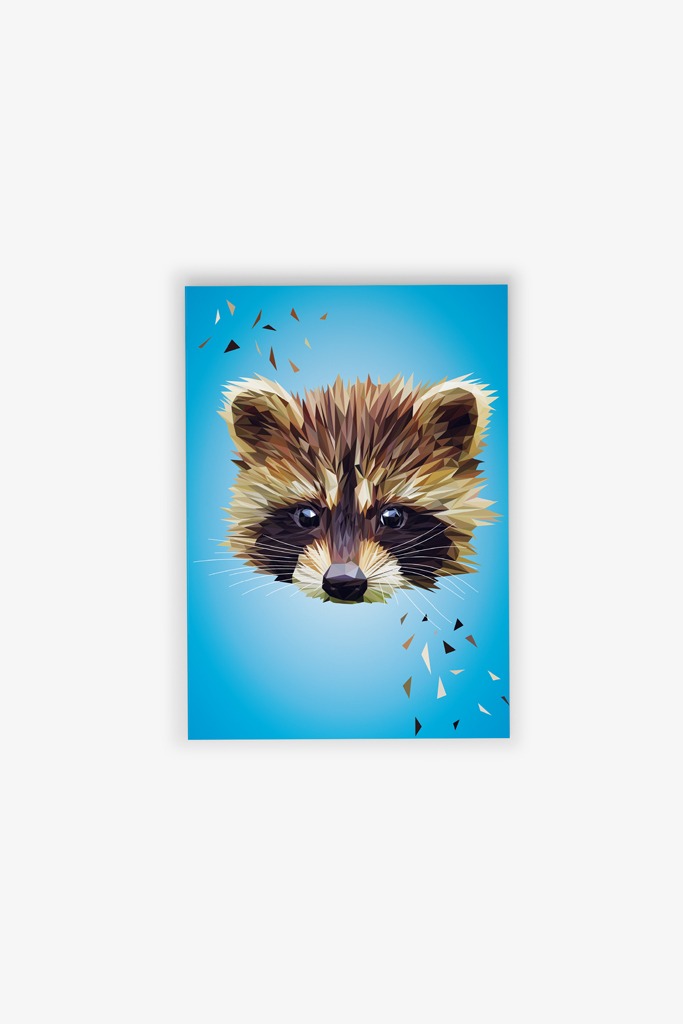 Postkarte Waschbär