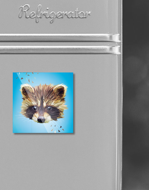 Magnet "Waschbär" – Bild 2