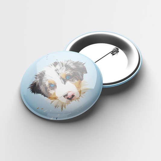 Australian Shepherd