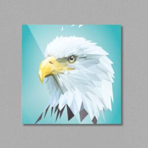 Magnet "Weißkopfseeadler"