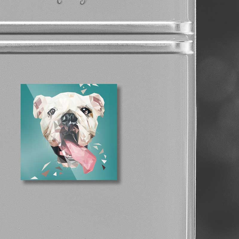Magnet "Englische Bulldogge" – Bild 2
