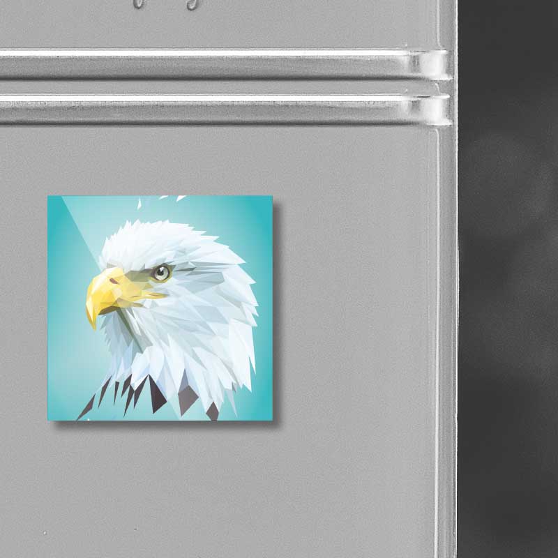 Magnet "Weißkopfseeadler" – Bild 2